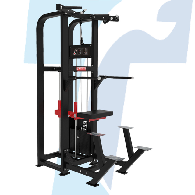 Multifunctional Commercial Gym Fitness Dip Chin Assist Machine Home Strength Training Pull-Up Dip Station Benches Racks