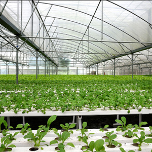 Smart Automatic NFT Hydroponic System Vertical Hydroponics Irrigation Equipment Greenhouse Hydroponic Automation System - Product Image 3
