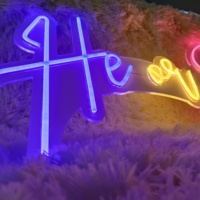Letrero Luminoso LED RGB Personalizable de Acrílico Aladin Neno, para Fiestas de Revelación de Género, Decoración de Pared, Brillo Vibrante, Atractivo, de Alto Brillo