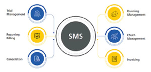 Logiciel de gestion d'abonnements pour entreprises, plateforme cloud de gestion des membres avec intégration de codes et fonctions de sécurité - Product Image 2