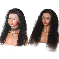 Brazilian Ombre Lace Front Wigs, Human Hair Vendor, 14 inch