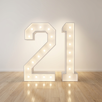 Ampoule LED numérique personnalisée, lettres lumineuses, enseigne néon 3D, étanche IP65, garantie 3 ans, pour LOGO, bar, parc, hôtel, mariage