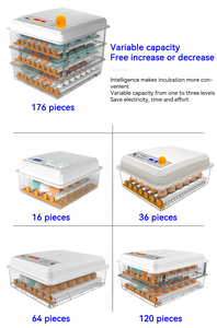 36 64 120 176 Máy ấp trứng tự động Máy ấp trứng giá rẻ nhất Máy ấp trứng đà điểu - Product Image 3