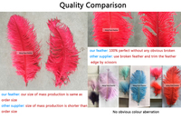 Plumes d'autruche de 40-45 cm, décorations pour costumes de carnaval, décoration de table, plumes d'autruche teintées pour mariage