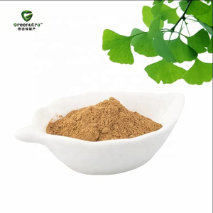 은행나무 추출물 분말 및 플라보노이드 진코글라이드 은행나무 추출물 표준화된 은행나무 추출물 테르펜 락톤 - Product Image 1