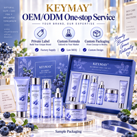 Set Perawatan Kulit Asam Hialuronat Blueberry Korea Niacinamide Melembapkan Mengencangkan Label Pribadi OEM ODM Produsen Grosir