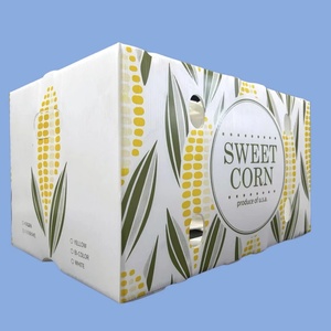 Có thể gập lại giá tốt không thấm nước PP rỗng Ngô bao bì hộp tái sử dụng sóng nhựa Poly vận chuyển trái cây doanh thu hộp - Product Image 2