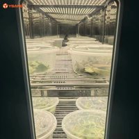YSANQ Cámara de Crecimiento de Plantas Industrial LED Más Vendida para Pruebas de Envejecimiento de Materiales con Fuente de Luz Fría y Sistema de Bloqueo de Seguridad