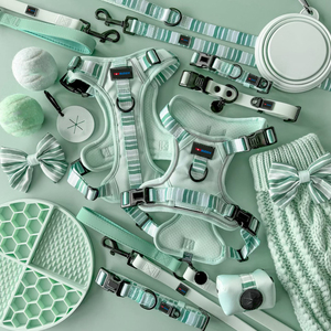 Individuelles Hundegeschirr-Set mit Halsband, Leine, Fliege, Kotbeutelspender und weiterem Haustierzubehör - Product Image 1