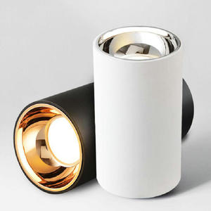 Đèn LED COB Gắn Trên Bề Mặt Có Thể Điều Chỉnh Độ Sáng 20W 30W Hiện Đại Cho Văn Phòng Khách Sạn Đèn LED Gia Đình Đèn Chiếu Sáng Trần Với Trình Điều Khiển LED - Product Image 3