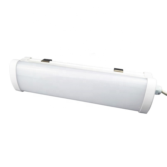 20W China Waterproof LED Long Strip Lamp Ceiling Mounted with IP65 Rating for Cold Room Lighting at an Price