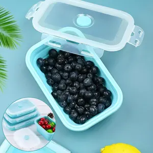 Hot Selling Kids Siliconen Lunchbox Set Plastic Luchtdichte Voedselcontainer