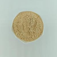 Poudre de Wasabi de Racine de Chardon-Marie Biologique Certifiée Qualité Alimentaire en Gros, Assaisonnement et Additif Végétal en Vrac