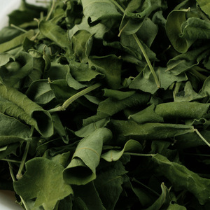 Feuilles de Moringa Oleifera séchées naturellement, sans soufre, super-aliment, matière première pour les thés bien-être, compléments alimentaires et additifs alimentaires - Product Image 5