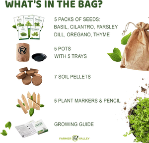 Kit de cultivo de inicio de hierbas para interiores hecho en EE. UU. 5 reliquia sin OGM perejil <span class=keywords><strong>eneldo</strong></span> orégano que incluye macetas tierra para té hierba <span class=keywords><strong>medicinal</strong></span> - Product Image 3