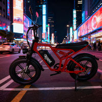 Moto électrique 48V à deux roues pour adultes et seniors, 500W, avec pneus larges, idéale pour la Turquie et les terrains accidentés