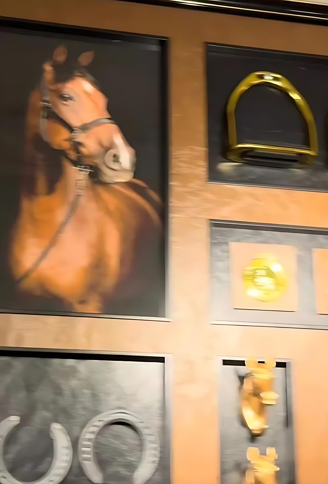 Equestre negro
