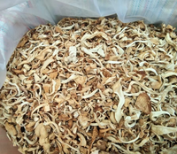 Champignons d'huître séchés naturels purs, entiers ou en tranches, sans soufre, sans additifs, nutritifs, cultivés en vrac, certifiés BRC, HACCP, KOSHER