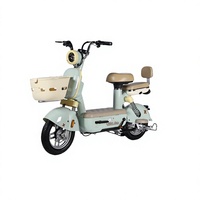 Vélo électrique mignon à deux roues avec batterie au plomb 48V pour les trajets urbains, scooter de mobilité pour adultes, vélo électrique transfrontalier, autonomie 55-65km