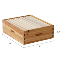 Super Beehive 10 marcos 8 marcos Bee Hive Boxes Equipo de apicultura de madera ecológico