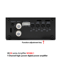 Amplificateur de voiture 12V, 1x1000W, 1 canal, pleine fréquence, classe D avec combinaison de croisements, nouveauté