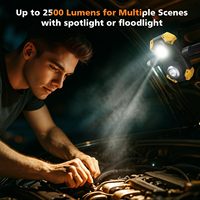 Lot de 2 lampes de travail magnétiques rechargeables, lampe de travail LED rechargeable avec 360 °   Rotation et pliable, 5 modes d'éclairage