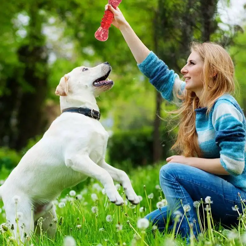 Durevole Non tossico di gomma cane spazzolino giocattolo molare bastone da denti masticare denti giocattolo interattivo per animali domestici giocattoli per cani