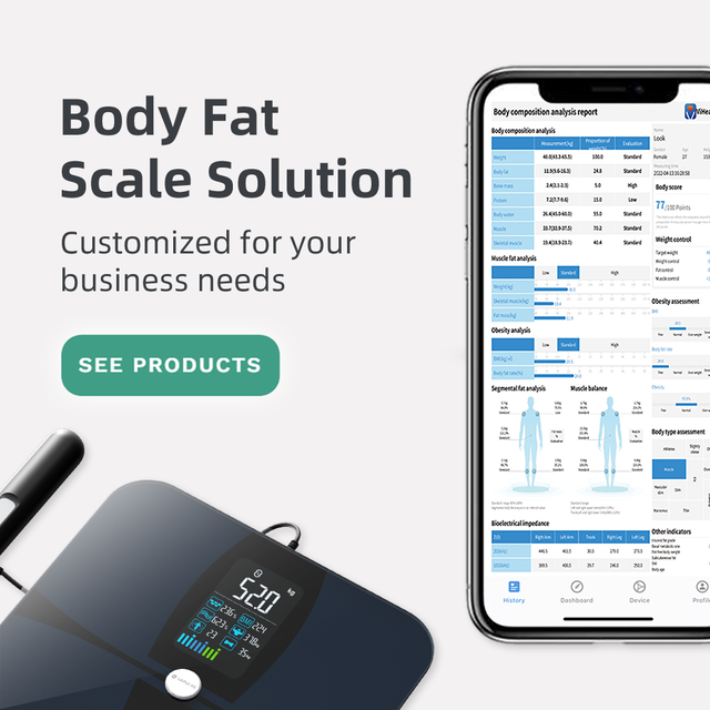 Viatom OEM Factory Wholesale High Accurate ITO Body Fat Scale Tempered Glass Weighing Scales Home Use Smart Scales