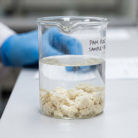 Vente en gros usine : Hydrogel de polyacrylamide écologique, conditionneur de sol agricole, anti-érosion, rétention d'eau, auxiliaire de traitement des semences