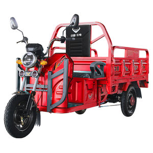 Triciclo Elettrico per <span class=keywords><strong>Trasporto</strong></span> Merci a Tre Ruote con Motore da 800W - Product Image 3