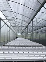 Système hydroponique NFT de 100x50mm, qualité alimentaire, 2.0mm, pour la culture de légumes