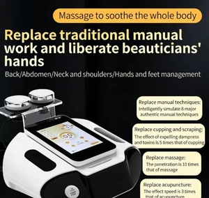 เครื่องมือดูแลสุขภาพ นวดเสริมความงาม เมอริเดียน ทรีเวย์ มาสเตอร์ ไบโออิเล็กทริก - Product Image 3