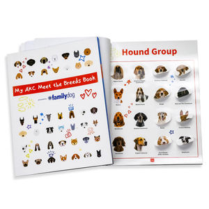 Libro de Arte de Alta Calidad con Tapa Blanda Personalizada, Serie de <span class=keywords><strong>Animales</strong></span>, con Pegatinas, Papel Recubierto, Impresión Offset, Encuadernación Perfecta - Product Image 6