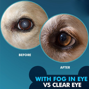 <span class=keywords><strong>K</strong></span>-green Gouttes oculaires <span class=keywords><strong>pour</strong></span> chiens et chats - Traitement en plastique durable <span class=keywords><strong>pour</strong></span> les infections oculaires, les allergies, les yeux secs et roses, et le nettoyant <span class=keywords><strong>pour</strong></span> les taches de larmes 30ml - Product Image 2