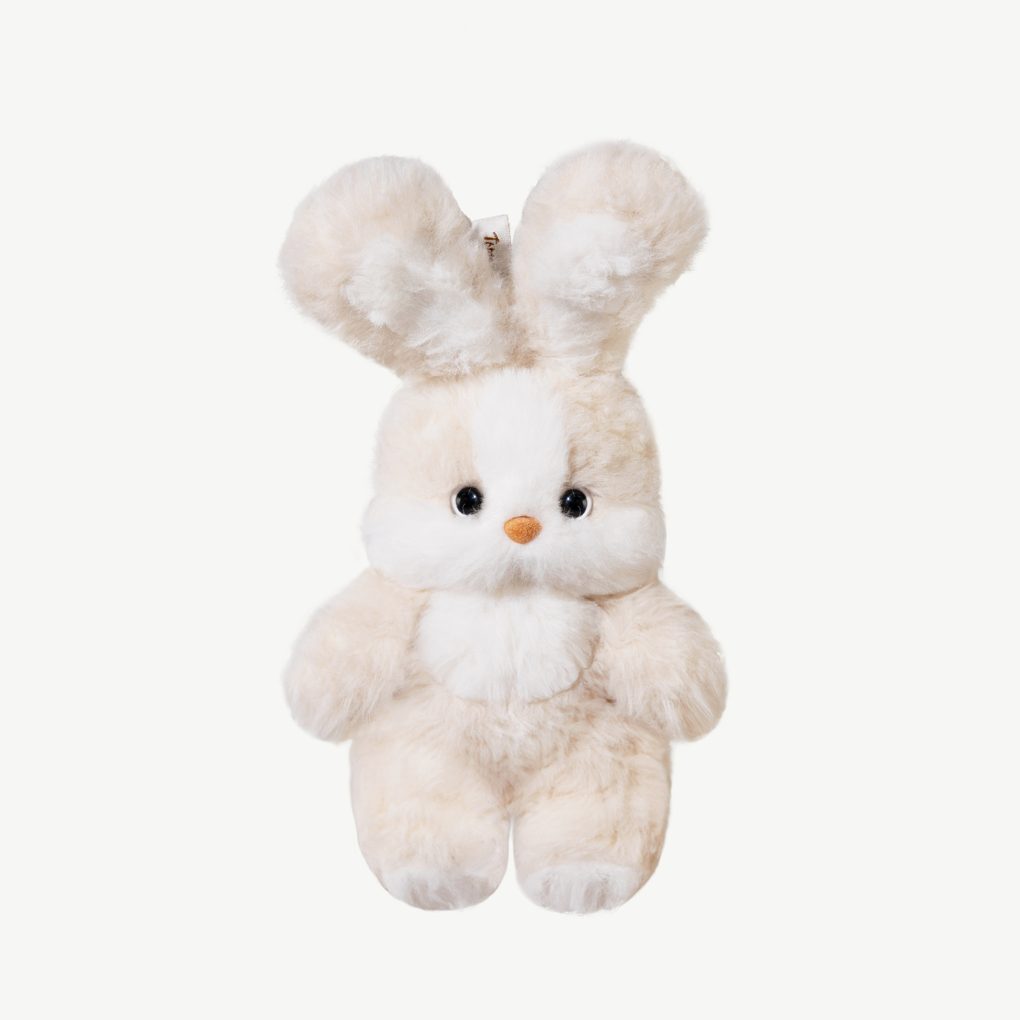 Goodnight bunny