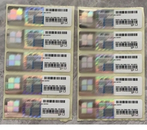 Win 11 ev OEM Sticker 100% aktivasyon Win 11 ev OEM Coa çıkartmalar dijital anahtar etiket - Product Image 2