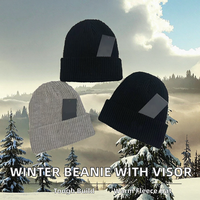 Gorro de Punto con Bordado OEM, 100% Acrílico, con Puño, Cálido para Invierno, para Esquí al Aire Libre, Ropa Urbana, Uso Diario, Unisex