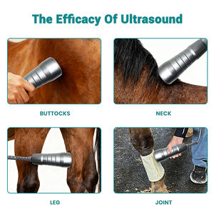 Ultrasonido Fisioterapia Physique Ultrawave Machine de Thérapie Professionnelle Soulagement de la Douleur pour le Traitement Canin Équin AC 110-220V - Product Image 4