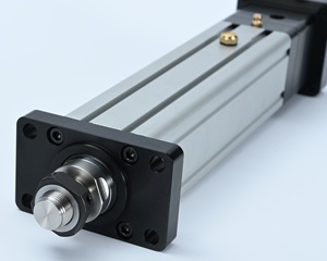 Сверхмощный малошумный завод прямая продажа сервоцилиндр промышленный робот прямой привод линейные приводы - Product Image 6