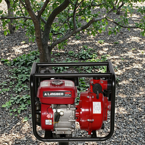 Bombas de Riego Agrícola Automáticas Mini de Alta Capacidad de 3/4 Pulgadas, Bombas de Agua Móviles de Gasolina con Soporte OEM Personalizado - Product Image 4