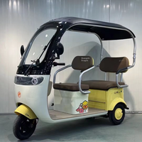 Triciclo Eléctrico Mini para Adultos, Nuevo Diseño Económico, 3 Ruedas, Motor en el Buje Trasero, 1000W, 3 Velocidades, Marco de Acero al Carbono, para Carga y Pasajeros