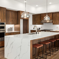 Ensemble de meubles de cuisine modulaires complets sur mesure, style européen moderne, en bois massif et contreplaqué, pour projets commerciaux et de restauration, OEM ODM
