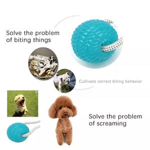सर्वश्रेष्ठ विक्रेता काटने प्रतिरोधी दांतों की सफाई कुत्ते टूथब्रश टग खिलौना चबाने वाली इंटरैक्टिव पालतू मोलर सक्शन कप खिलौना कुत्ते - Product Image 2