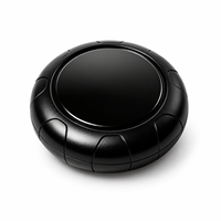 Mini traceur GPS sans carte SIM, 3 ans d'autonomie, localisateur longue portée pour animaux de compagnie, bagages, personnes âgées