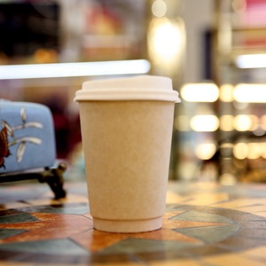 Bagasse Cup Good Price 2oz 4oz Biodegradable Compostable Disposable Sugarcane Bagasse Cup