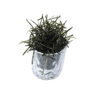 Certified Factory <strong>Yaki</strong> <strong>Nori</strong> Food Kizami Laver <strong>Nori</strong> - Product Image 3