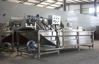Laveuse industrielle de fruits et légumes à bulles d'air et ozone pour oranges et citrons
