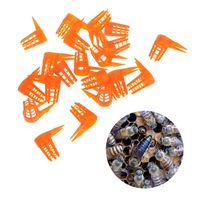 Housse de protection pour cellules Queen d'abeille, Cage de protection des cellules, fournitures pour apiculteur petite taille, outils essentielles, 1 — 50 pièces