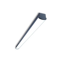 Philips 36 Вт WT066C NW LED36 L1200 БП FW GC линейный патрон для лампы для замены традиционных водонепроницаемые светильники с флуоресцентным
