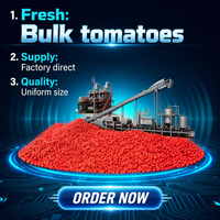 Automatische tomatenketchup productielijn complete sausverwerkingsinstallatie concentratie menging sterilisatie vulapparatuur